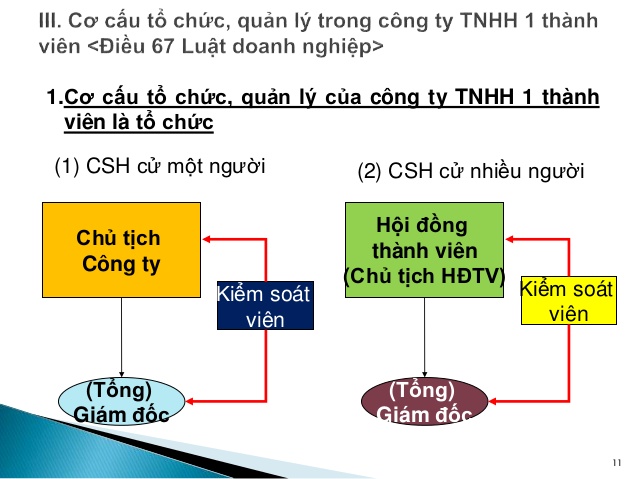 Cơ cấu tổ chức công ty TNHH một thành viên